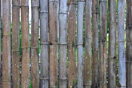 Bamboo Wall Texture