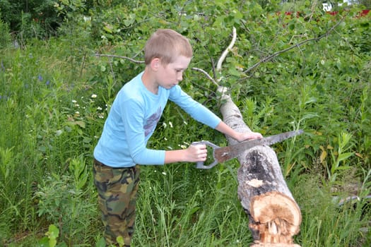 the boy with a hacksaw stands near a tree