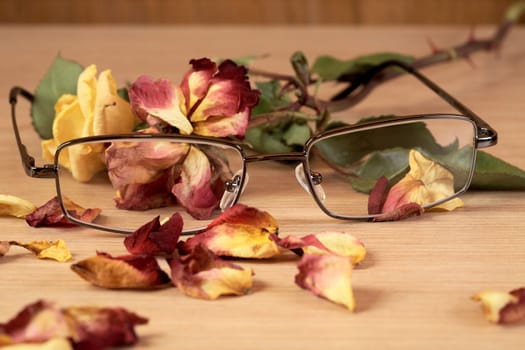 glasses and dry rose with petals close up