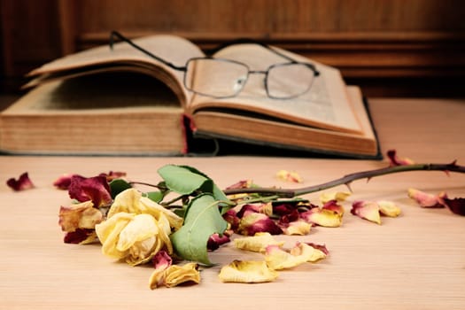 Dry rose and the old book on a table