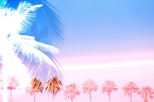 A montage of tropical palm trees over a sunset sky with plenty of negative space.