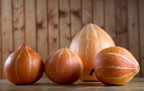 row of pumpkins on a table against a board wall