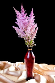  Bouquet Astilbe with a fabric on a black background