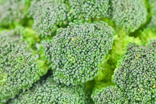 background of juicy green broccoli 