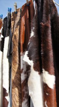 Photo of cow hide fur rugs and mats.