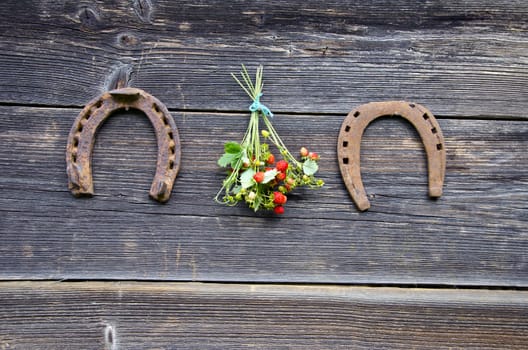 wild strawbbery bunch and two rusty horseshoe on old wooden farm house wall
