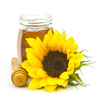 honey and sunflowers on white background