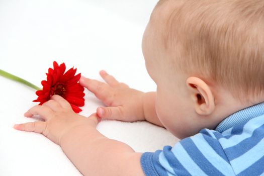 baby with flower on white bed
