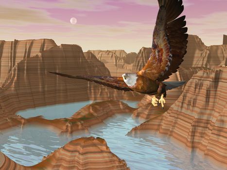 Beautiful eagle flying above canyons with river by full moon light
