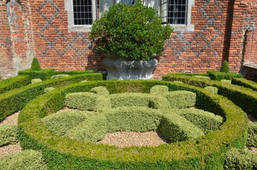 Patterned hedge in garden