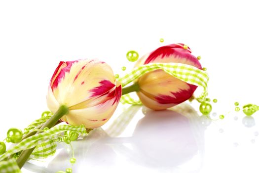 Two tulips and green beads. Spring flowers. Motley tulips.  Red and yellow tulips.