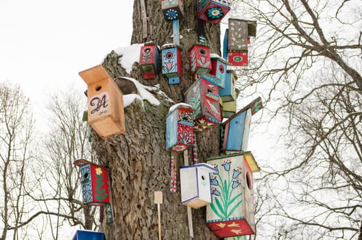 decorative colorful painted birdhouse nesting boxes hang on large old tree trunk covered with snow in winter.