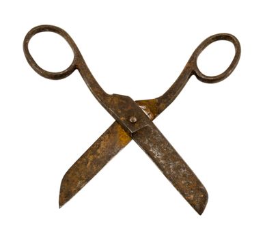 rusty old vintage scissors isolated on white background.