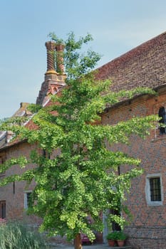 Exterior of Elizabethan cottage with tree