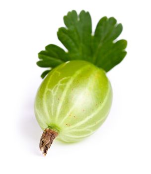 Gooseberry with leaf on white background. Macro shot