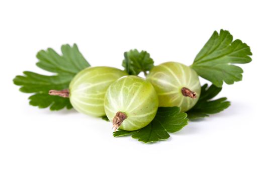 Gooseberries with leaves on white background. Macro shot