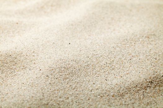 Sand background. Sandy beach texture. Copy space