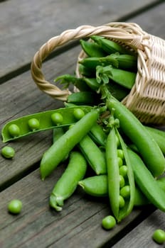 Fresh peas on a background of old boards