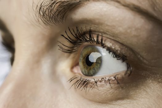 Closeup of the eye and iris of a young woman