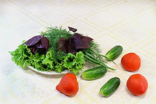 Lettuce, dill, onions on a white plate and vegetables ( tomatoes, cucumbers, .

