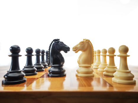 Chess horses facing each other for a conflict or standoff. Business concept or metaphor.