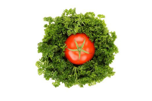 Fresh parsley and tomato in bowl isolated on white background.
