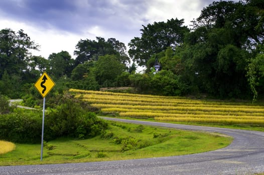 Tortuous Way to...
Samosir Island, Lake Toba, North Sumatra, Indonesia.