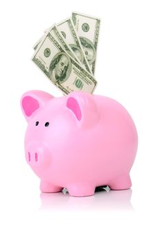 pink piggy bank stuffed with 100 dollar bills isolated on white