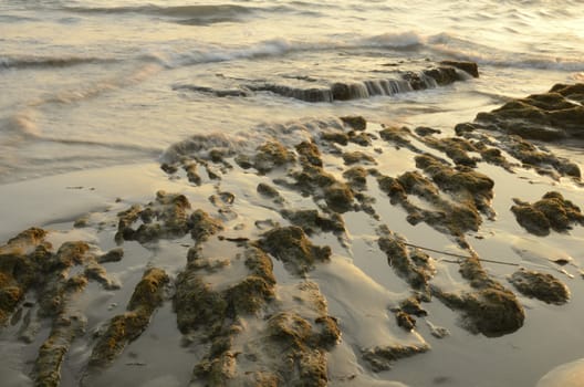 Rocky area in beach located in the bay of Cadiz, Spain