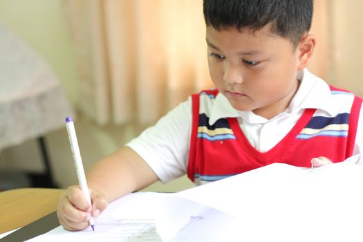 checking documents The boy intently.