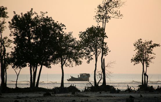 Sunset at the seacoast of the Sundarbans in southern Bangladesh