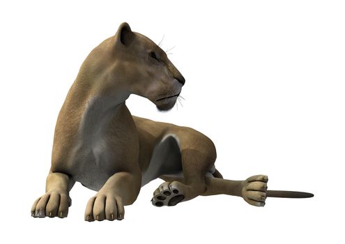 3D digital render of a lying lioness isolated on white background