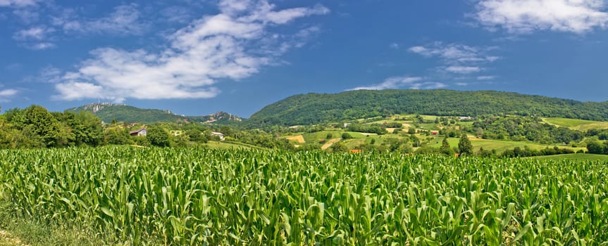 Green agriculture fields panoramic view, Kalnik mountain, Croatia