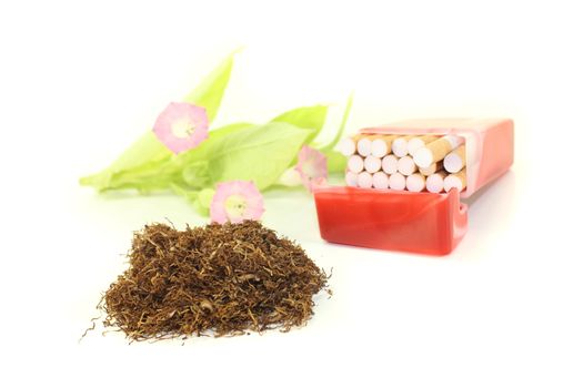 Tobacco with cigarettes case and plant on a light background