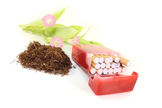 Tobacco with cigarettes case and leafs on a light background