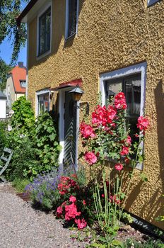 Hollyhocks in front of an old stone house.