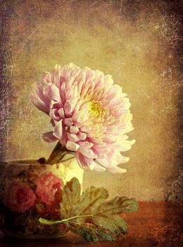 Chrysanthemum in jug with leaf. Texture added to the image and vignette round the edges.