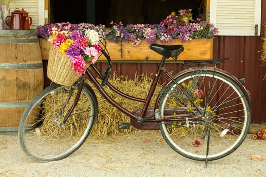 bicycle Be filled with basket flowers in Barn