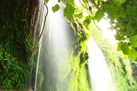 tree roots and water flowing on rocks with view of waterfall