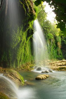 tree roots and water flowing on rocks with view of waterfall