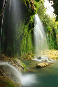 tree roots and water flowing on rocks with view of waterfall