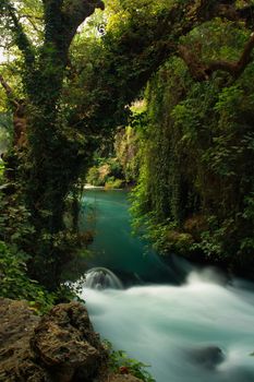 tourquoise stream landscape in forest