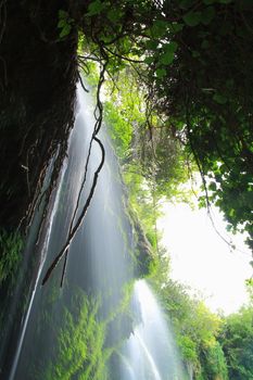 tree roots and water flowing on rocks with view of waterfall