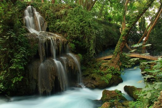 bridge on waterfall with tree and tourquoise stream