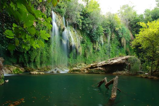 tree roots and water flowing on rocks with view of waterfall