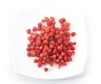 handful of wild strawberry on the white plate