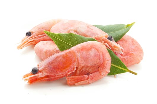 Handful of red coldwater shrimps with green bay leaf