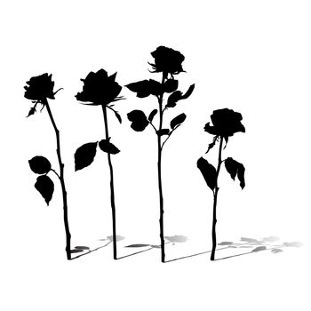 Roses silhouettes collection with shadows isolated on white