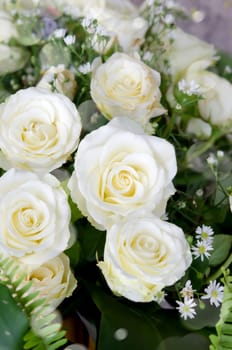  flower  bouquet , white rose and leaves full background