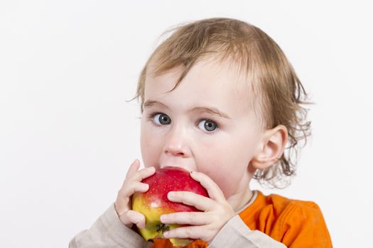 young child holding and eating red apple. horizontal image